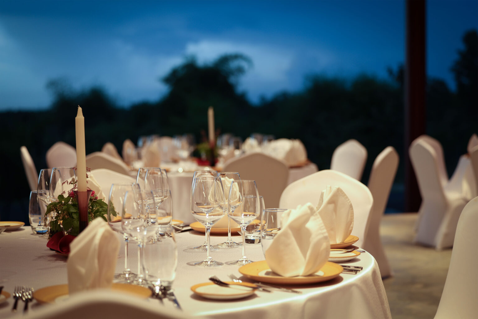 Gala and event dinners